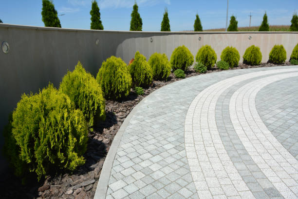 Best Interlocking Driveway Pavers  in Cedar Hills, UT